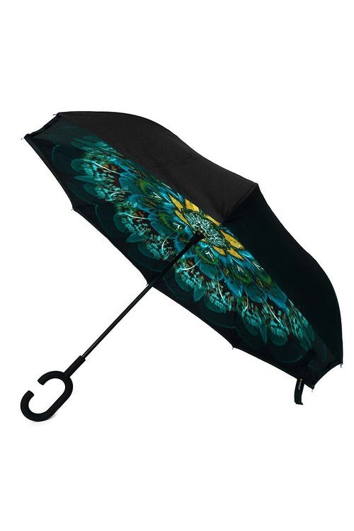 Inverted umbrellas 