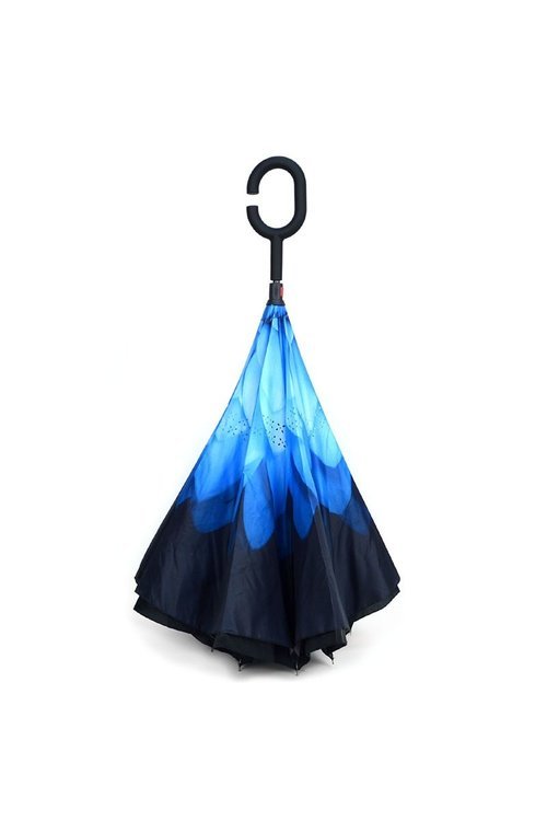 Inverted umbrella blue flower 